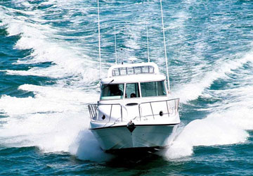 9-12 Seater Boats | Viva Marine